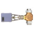 Electric Globe Control Valves image